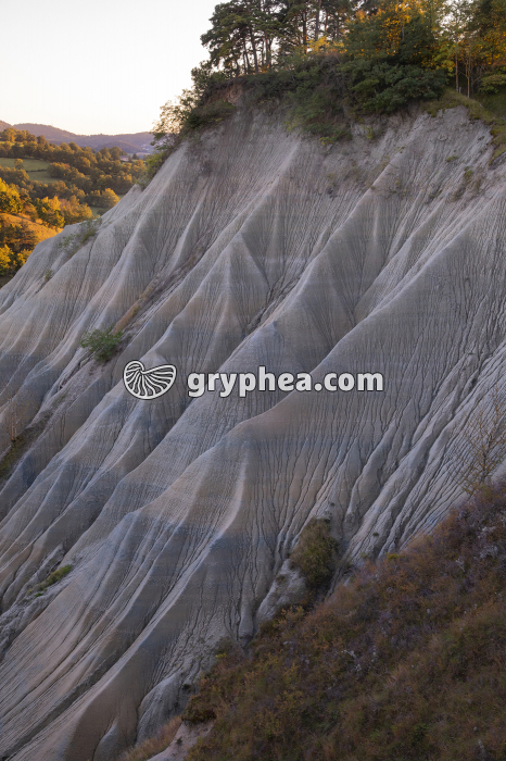 Erosion des sédiments dans le Ravin de Corboeuf - gryphea.org